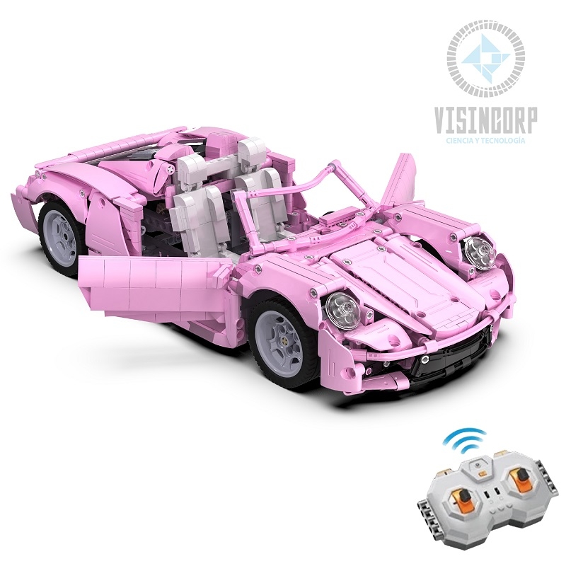 PINK HOLIDAY  (CON CONTROL)